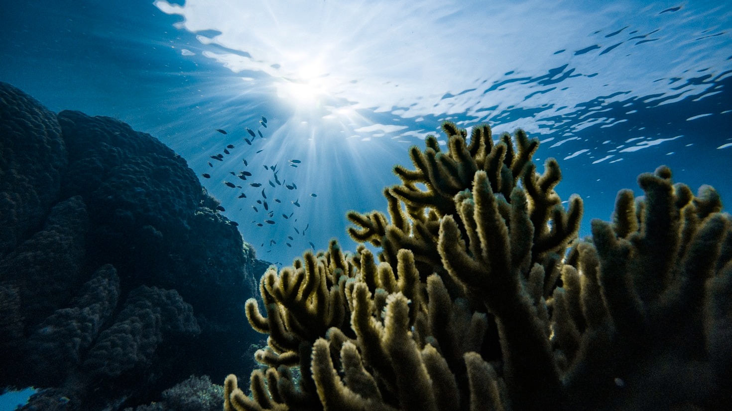10 Ways Global Networks Impact Environmental Research