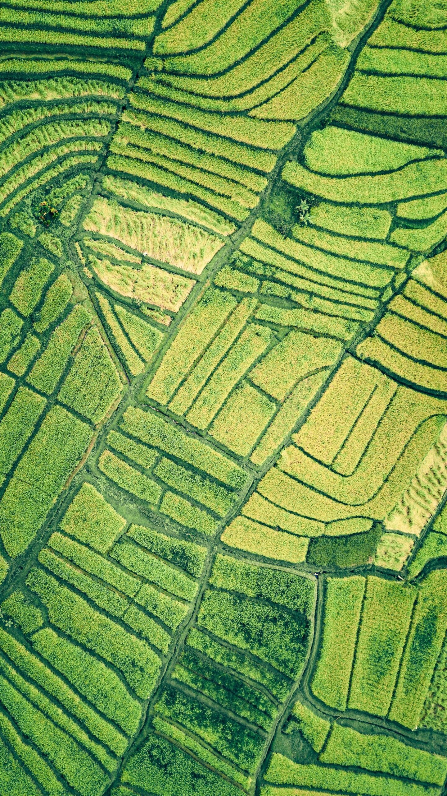Top Challenges in Global Environmental Collaboration